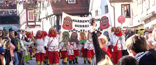 Narrenzunft Schrei Au (Quelle: RIK)