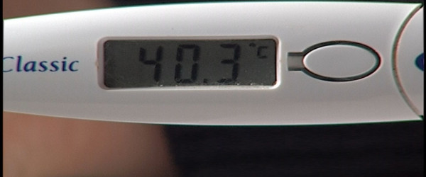 Grippe, Fieber, Thermometer (Quelle: RIK)