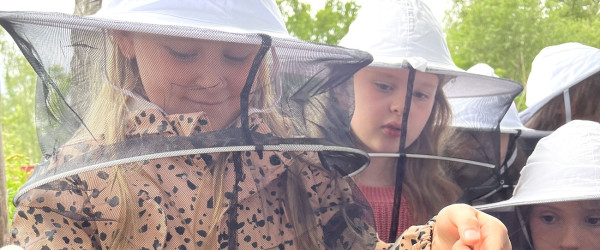 Kind und Bienenwaben (Quelle: Mellifera e. V.)